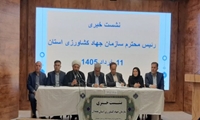 کارخانه فرنچ فرایز در همدان احداث می‌شود